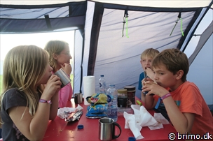 Miniature af billede nummer 8026