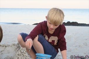 Miniature af billede nummer 8035