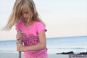 Miniature af billede nummer 8036