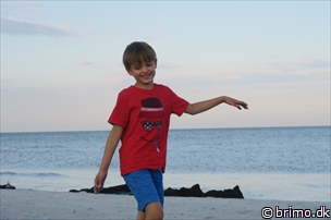 Miniature af billede nummer 8039