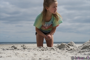 Miniature af billede nummer 8041