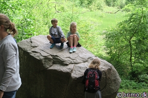 Miniature af billede nummer 8043