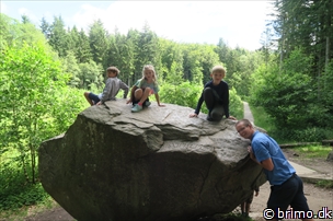 Miniature af billede nummer 8044