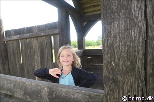 Miniature af billede nummer 8047