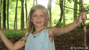 Miniature af billede nummer 8050