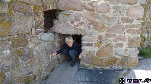 Miniature af billede nummer 8051