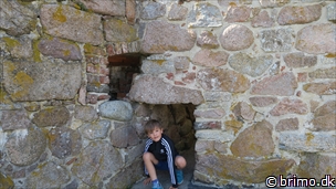 Miniature af billede nummer 8052