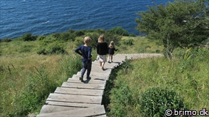 Miniature af billede nummer 8054