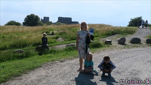 Miniature af billede nummer 8056