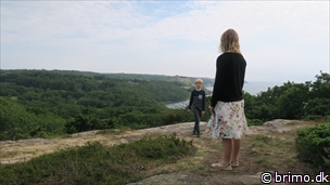 Miniature af billede nummer 8057