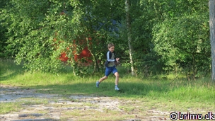 Miniature af billede nummer 8059