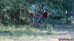 Miniature af billede nummer 8062