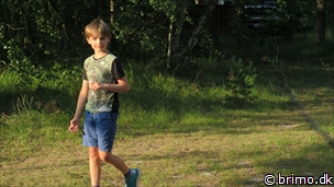 Miniature af billede nummer 8063