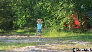 Miniature af billede nummer 8065