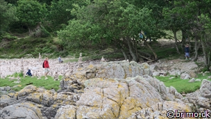 Miniature af billede nummer 8070