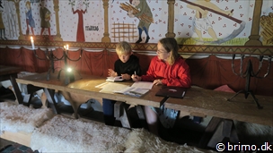 Miniature af billede nummer 8073