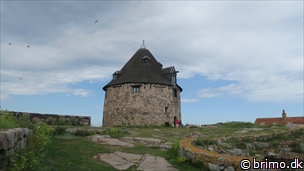 Miniature af billede nummer 8074