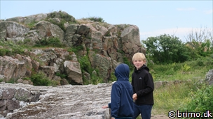 Miniature af billede nummer 8076