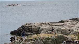 Miniature af billede nummer 8078