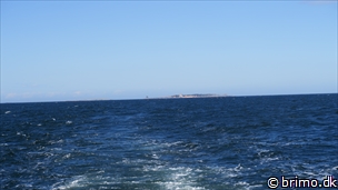 Miniature af billede nummer 8082