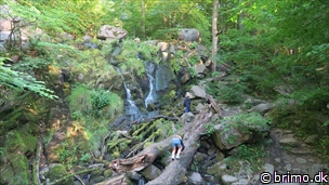 Miniature af billede nummer 8083