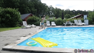 Miniature af billede nummer 8087