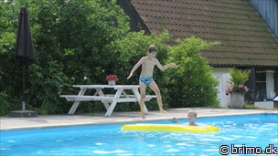 Miniature af billede nummer 8094