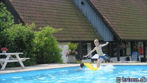 Miniature af billede nummer 8095