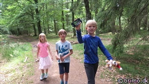 Miniature af billede nummer 8096