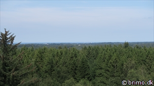 Miniature af billede nummer 8097