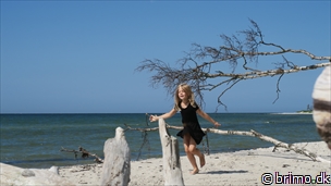 Miniature af billede nummer 8100