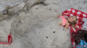 Miniature af billede nummer 8101