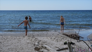 Miniature af billede nummer 8102