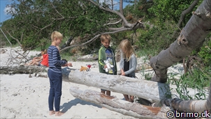 Miniature af billede nummer 8103