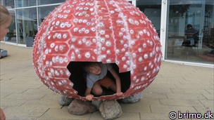 Miniature af billede nummer 8108