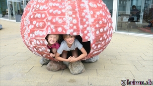 Miniature af billede nummer 8109