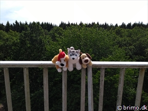 Miniature af billede nummer 8115