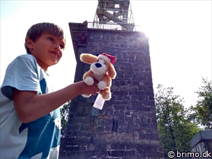 Miniature af billede nummer 8118