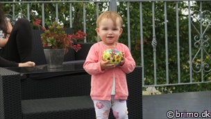 Miniature af billede nummer 8120