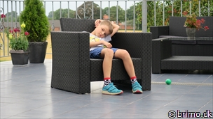 Miniature af billede nummer 8123