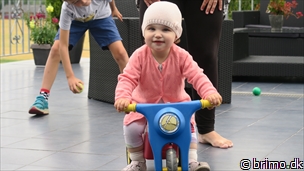 Miniature af billede nummer 8124