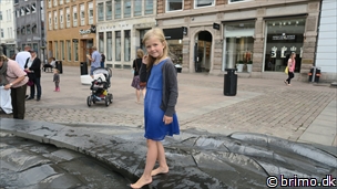 Miniature af billede nummer 9122