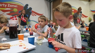 Miniature af billede nummer 9139