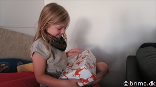 Miniature af billede nummer 9155