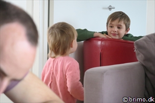 Miniature af billede nummer 9165