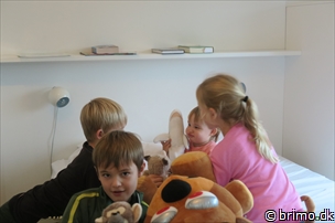 Miniature af billede nummer 9166