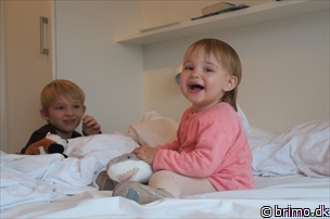 Miniature af billede nummer 9168