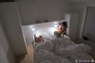 Miniature af billede nummer 9169