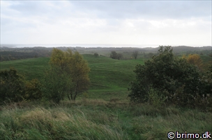 Miniature af billede nummer 9174