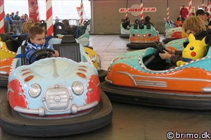 Miniature af billede nummer 9178